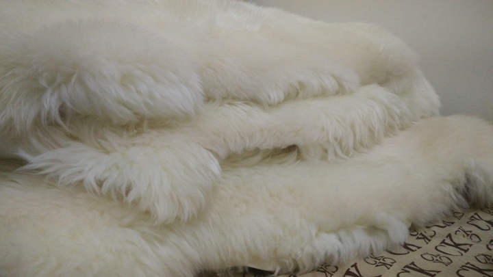 yixing fur products-sheepskin rug7.jpg